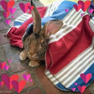 Meet your Posher, Tia